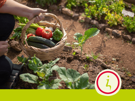 Diëtist in de moestuin