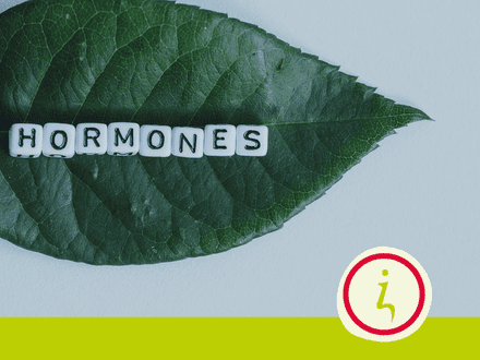 Voeding die je hormonen uit balans brengt